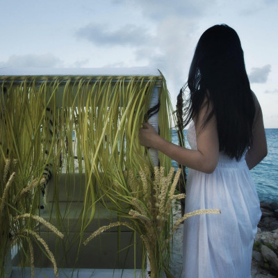 Vivanta By Taj Coral Reef image