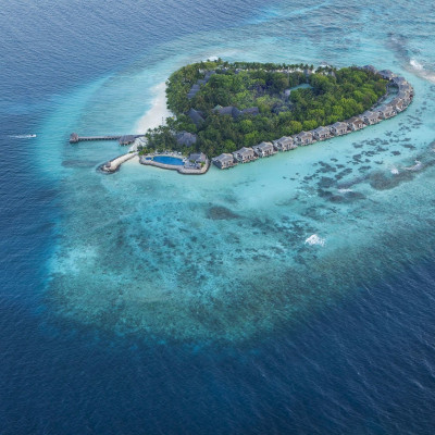 Vivanta By Taj Coral Reef image