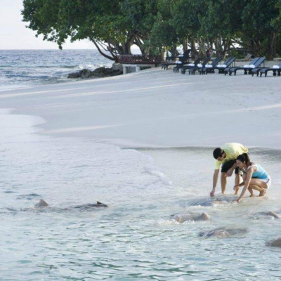 Vivanta By Taj Coral Reef image