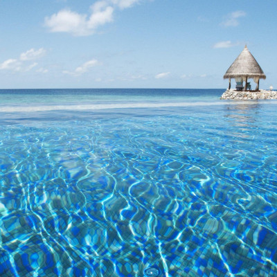Vivanta By Taj Coral Reef image