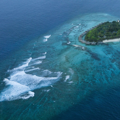 Vivanta By Taj Coral Reef image