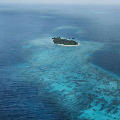 Vivanta By Taj Coral Reef image