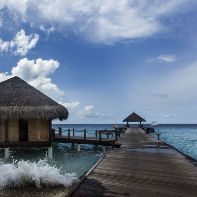 Vivanta By Taj Coral Reef image