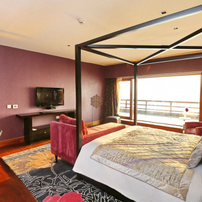 Vivanta Dal View image