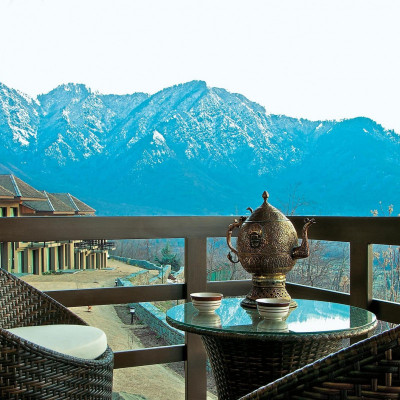 Vivanta Dal View image