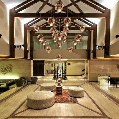 Vivanta Dal View image