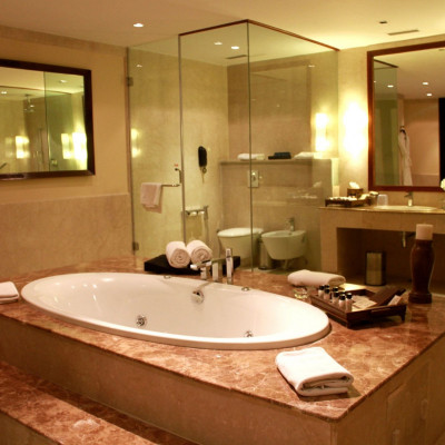 Vivanta Dal View image
