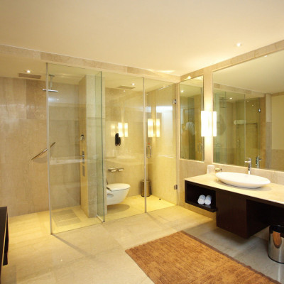 Vivanta Dal View image