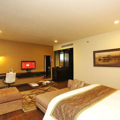 Vivanta Dal View image