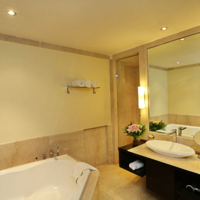 Vivanta Dal View image