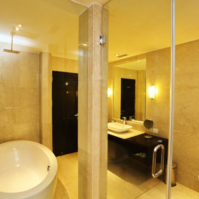 Vivanta Dal View image