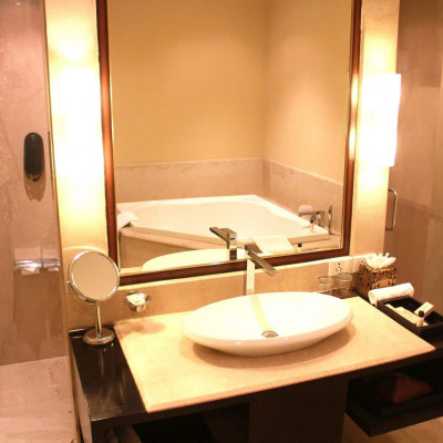 Vivanta Dal View image