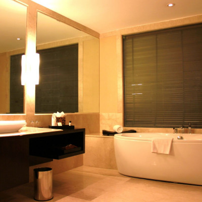 Vivanta Dal View image