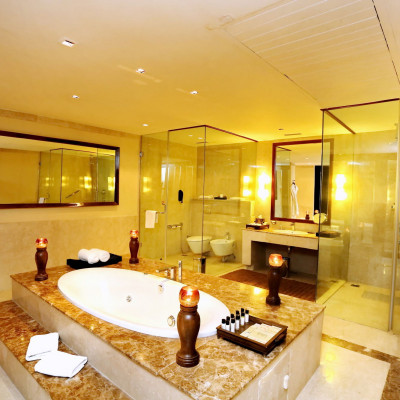 Vivanta Dal View image