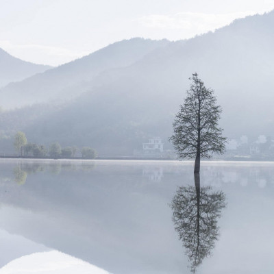 Banyan Tree Huangshan image