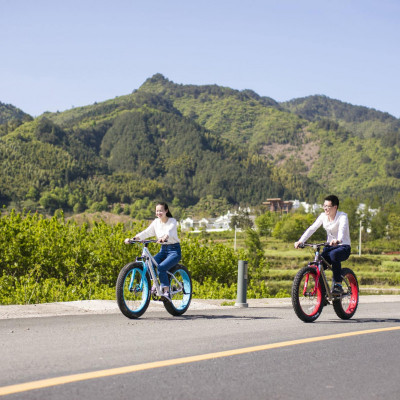 Banyan Tree Huangshan image