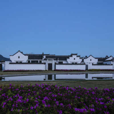 Banyan Tree Huangshan image
