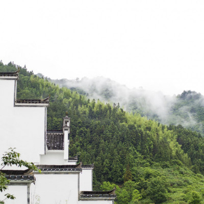 Banyan Tree Huangshan image