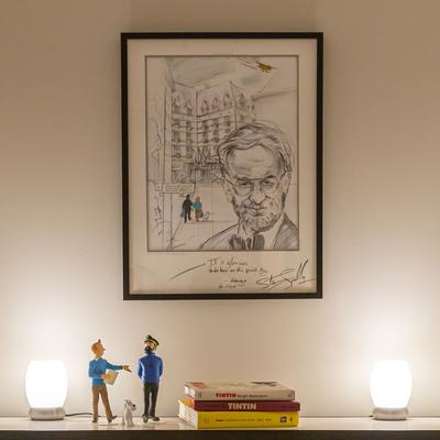 TinTin Suite