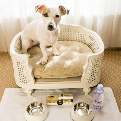 Dog Friendly