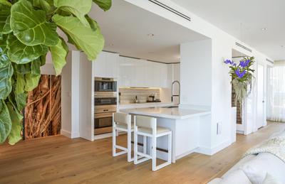 Sky Penthouse