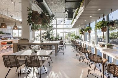 Plnthouse Cafe
