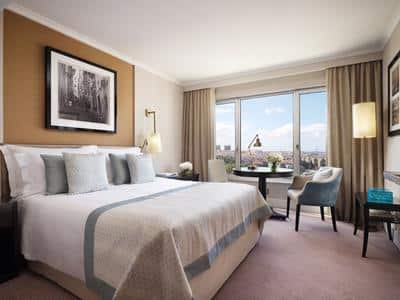 Deluxe Panoromic View Room