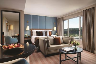 Junior Park View Suite