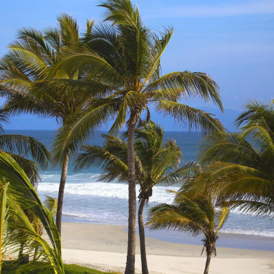 W Punta de Mita image