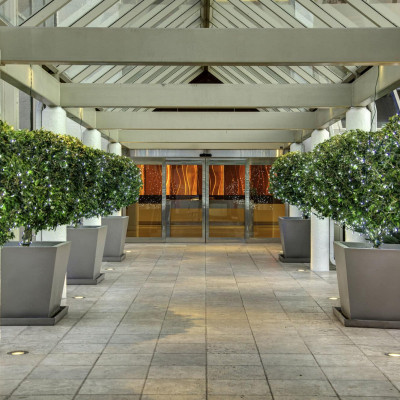 Naples Grande Beach Resort image