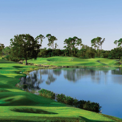 Naples Grande Beach Resort image