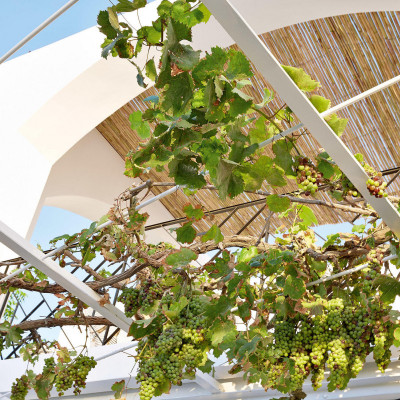 Caramel Boutique Resort image
