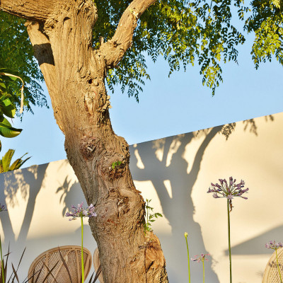 Caramel Boutique Resort image