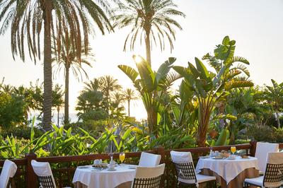 The Terrace