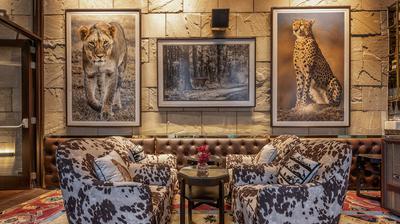 The Safari Lounge at Perbacco