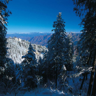 Wildflower Hall image