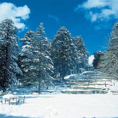 Wildflower Hall image