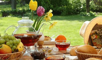 Breakfast in the Herb Garden
