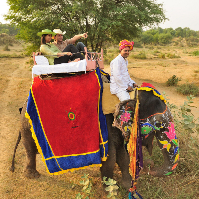 Elephant Riding