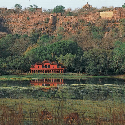 The Oberoi Vanyavilas Wildlife Resort, Ranthambore image