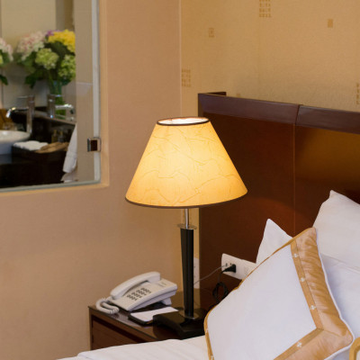 Northern Hotel image