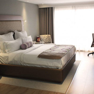 HS Hotsson Hotel Silao image