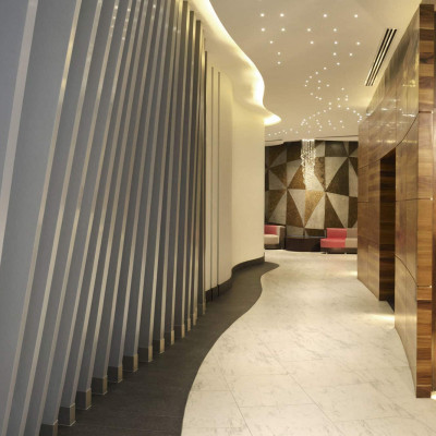 HS Hotsson Hotel Silao image