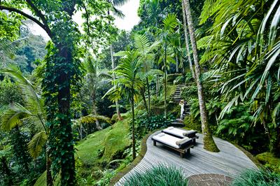 Water Garden