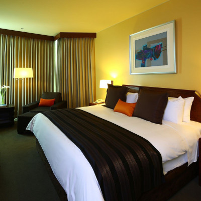 Delfines Hotel & Casino image