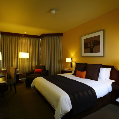 Delfines Hotel & Casino image