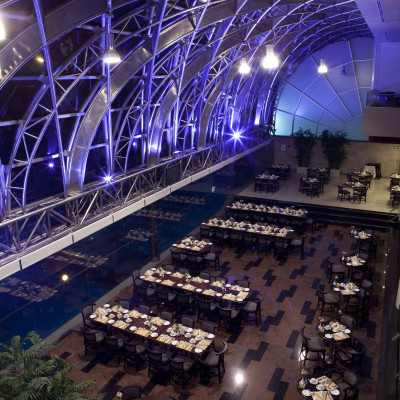 Delfines Hotel & Casino image