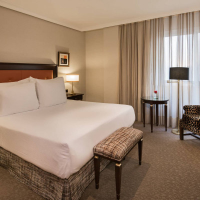 Hyatt Regency Hesperia Madrid image