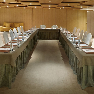 Hyatt Regency Hesperia Madrid image