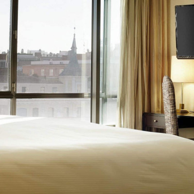 Hyatt Regency Hesperia Madrid image